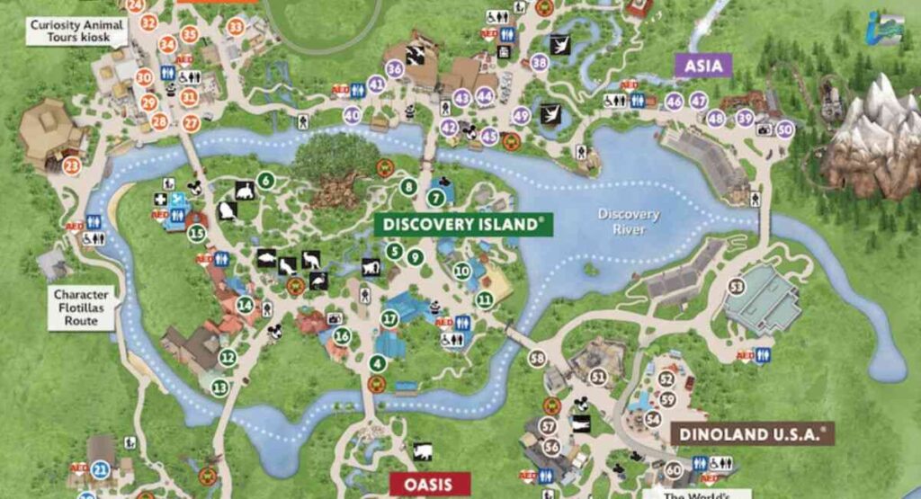 Where to Find It Inside Animal Kingdom